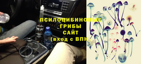прущий лед Белокуриха