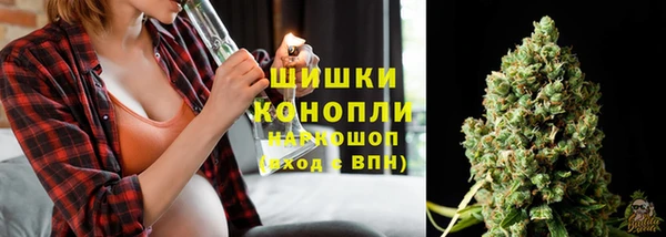 прущий лед Белокуриха